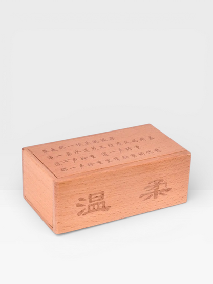3D Wooden Brain Teaser Puzzle Luban Lock IQ Box - UNIVEA