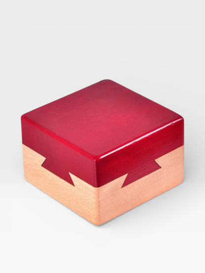 3D Wooden Brain Teaser Puzzle Luban Lock IQ Box - UNIVEA