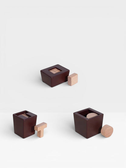 Challenging 3D Wooden Brain Teasers – Six T Square Circle Logic Puzzle for Adults & Kids - UNIVEA